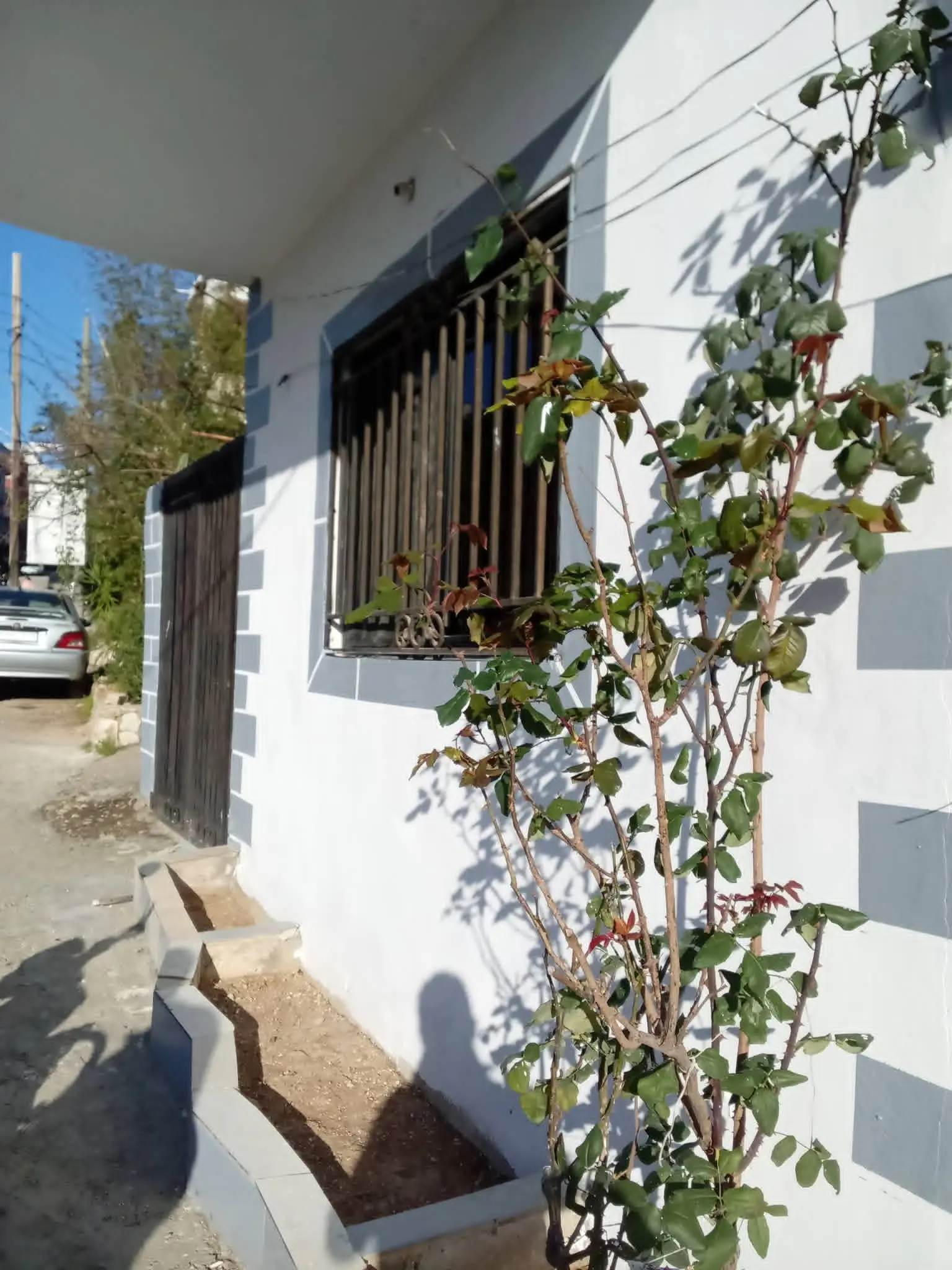 syria house property sale ready to move tartus on image