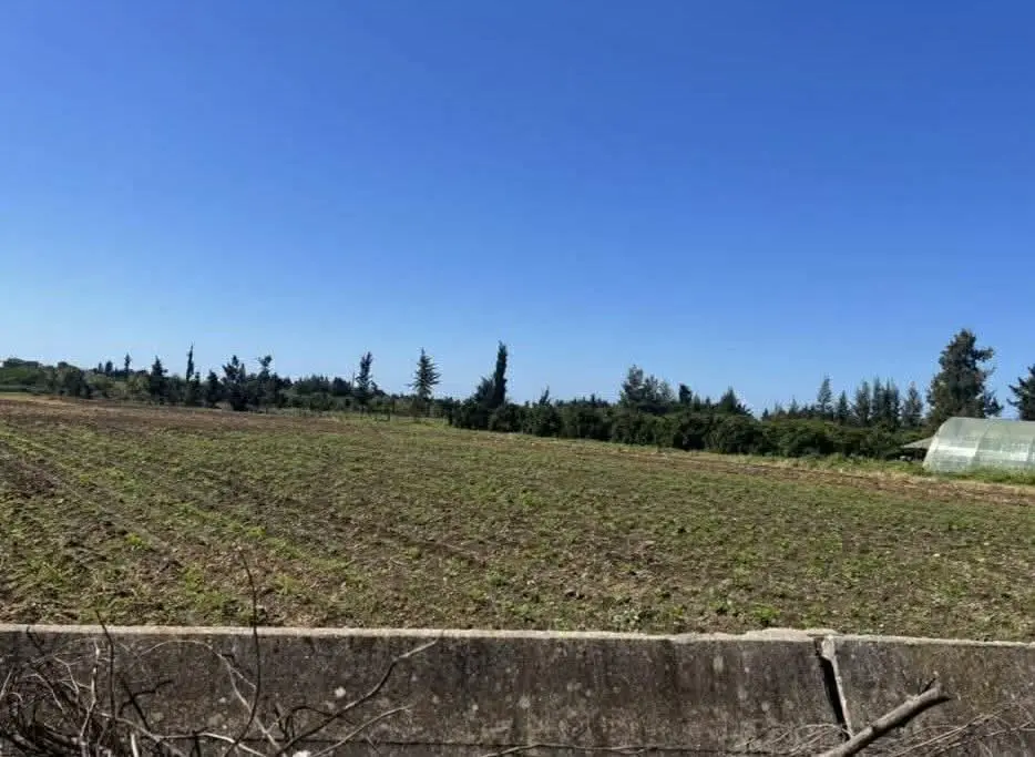 syria house property sale tartus rl card image