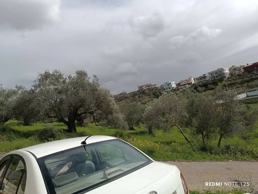 syria house property sale tartus pz card image