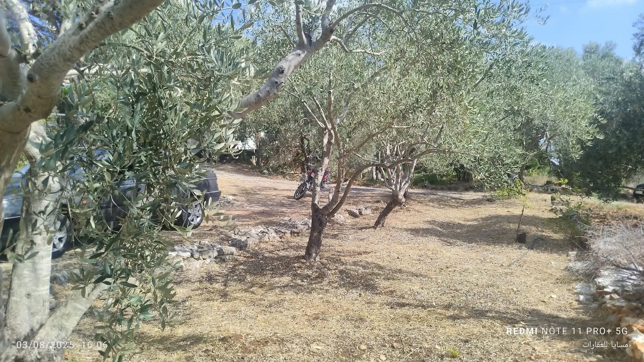 syria house property sale old building tartus yf image