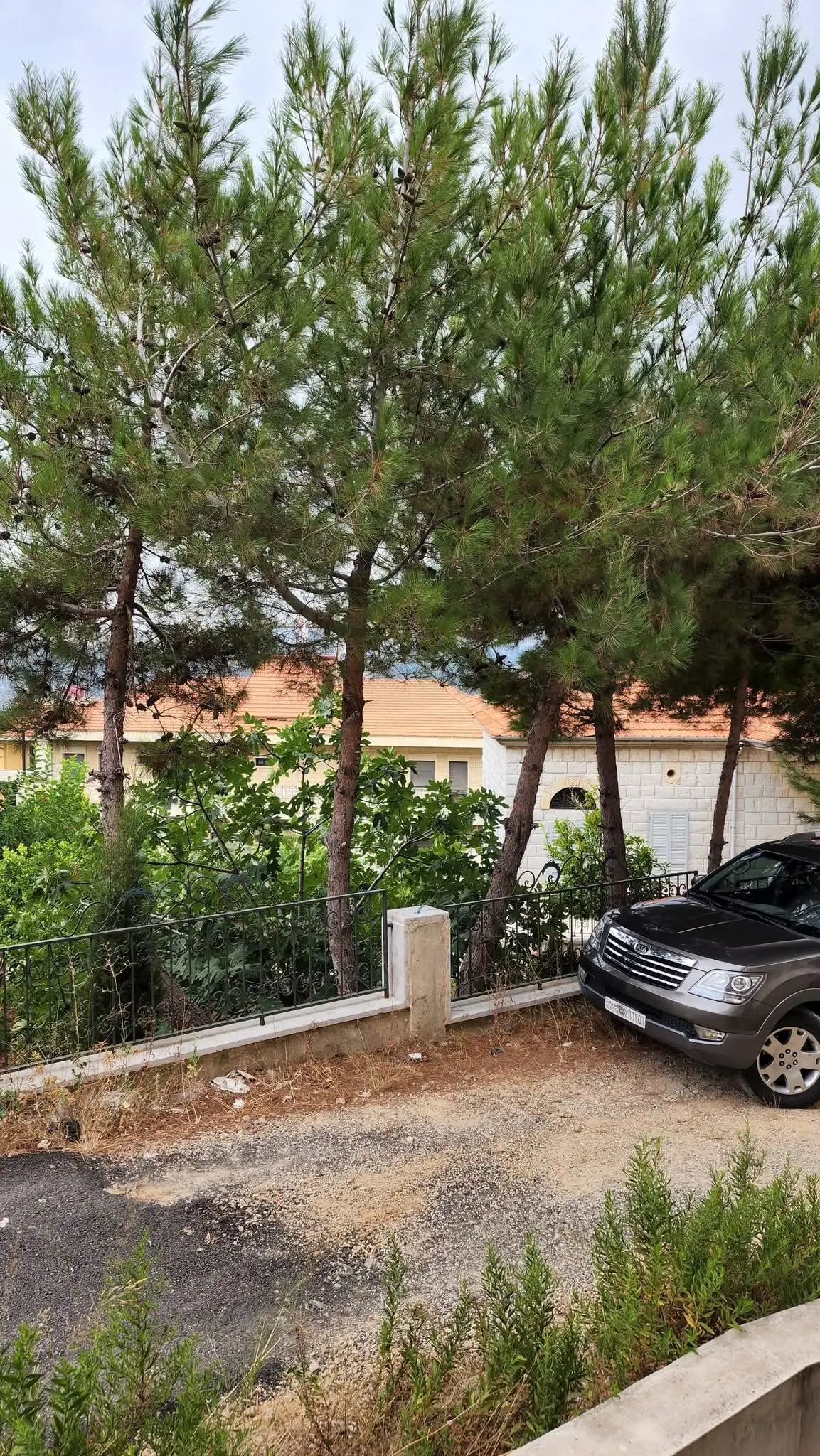 syria house property sale ready to move homs lm image