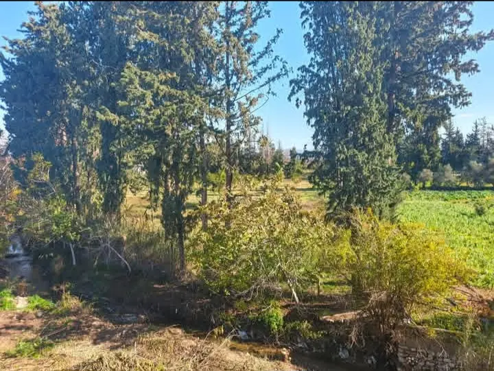 syria house property sale shell core lattakia ii image